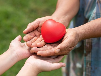 Projeto de prevenção à violência doméstica